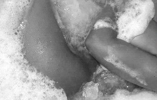 Franchesca π¦ banner image
