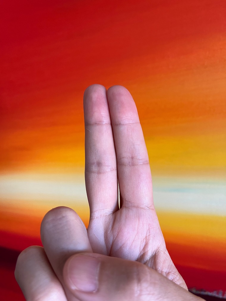 Frank Fragger banner image