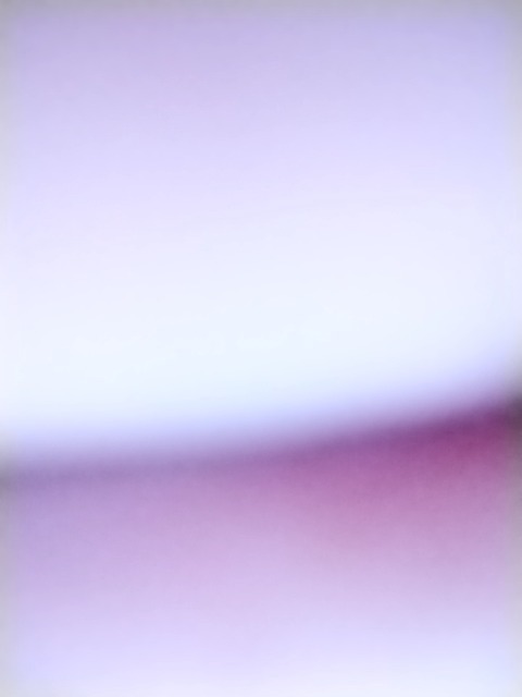 Franco cover image
