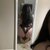 Toxicaaa avatar