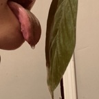 Freaks UnLeafed avatar