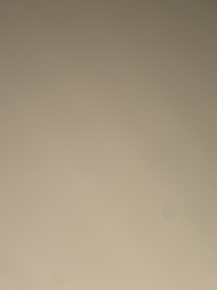 DaisyBunni π°π banner image