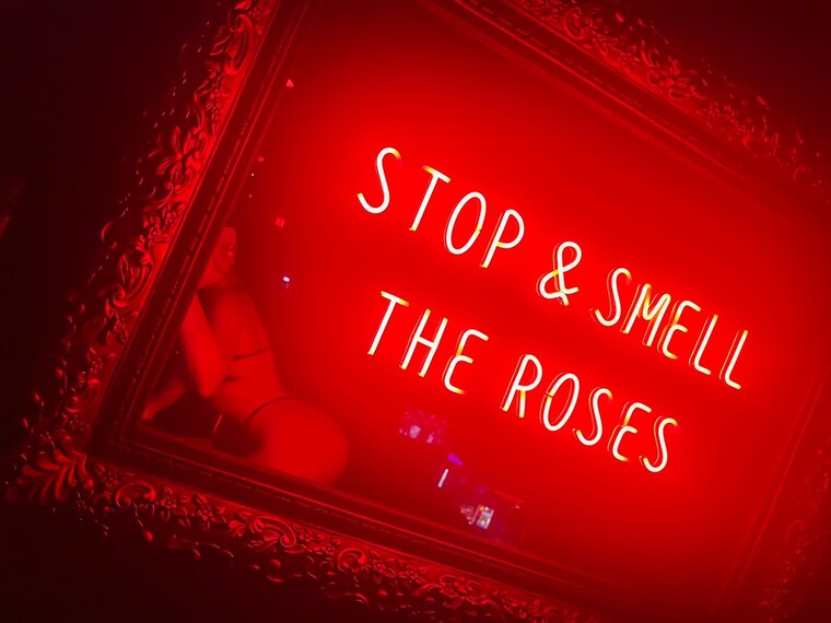 🌹 cover image