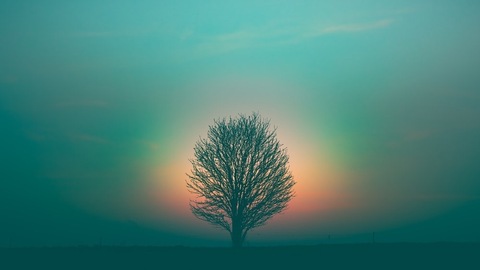 Introverted Boi C cover image