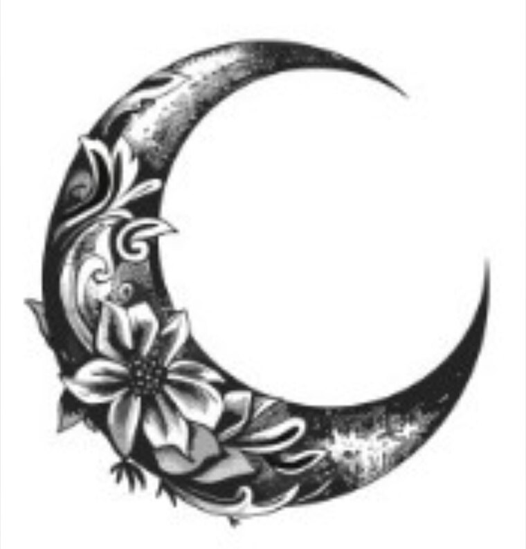WiseFrea cover image