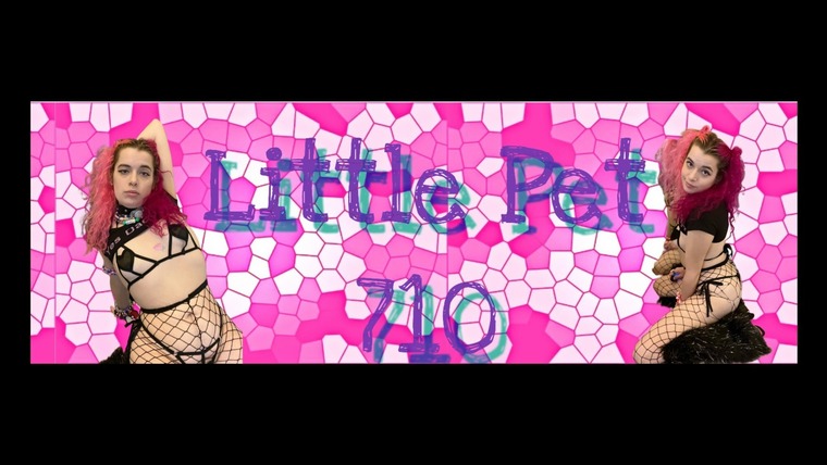 free.little.pet.710 banner image