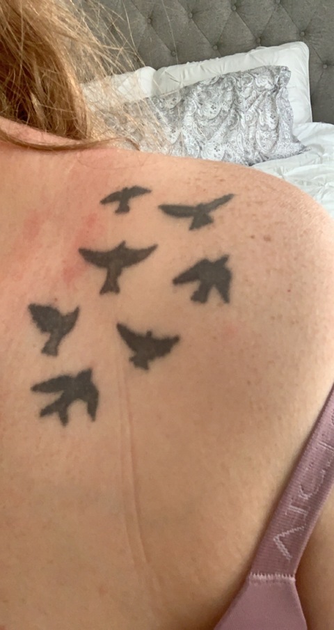 Freebird Anne cover image