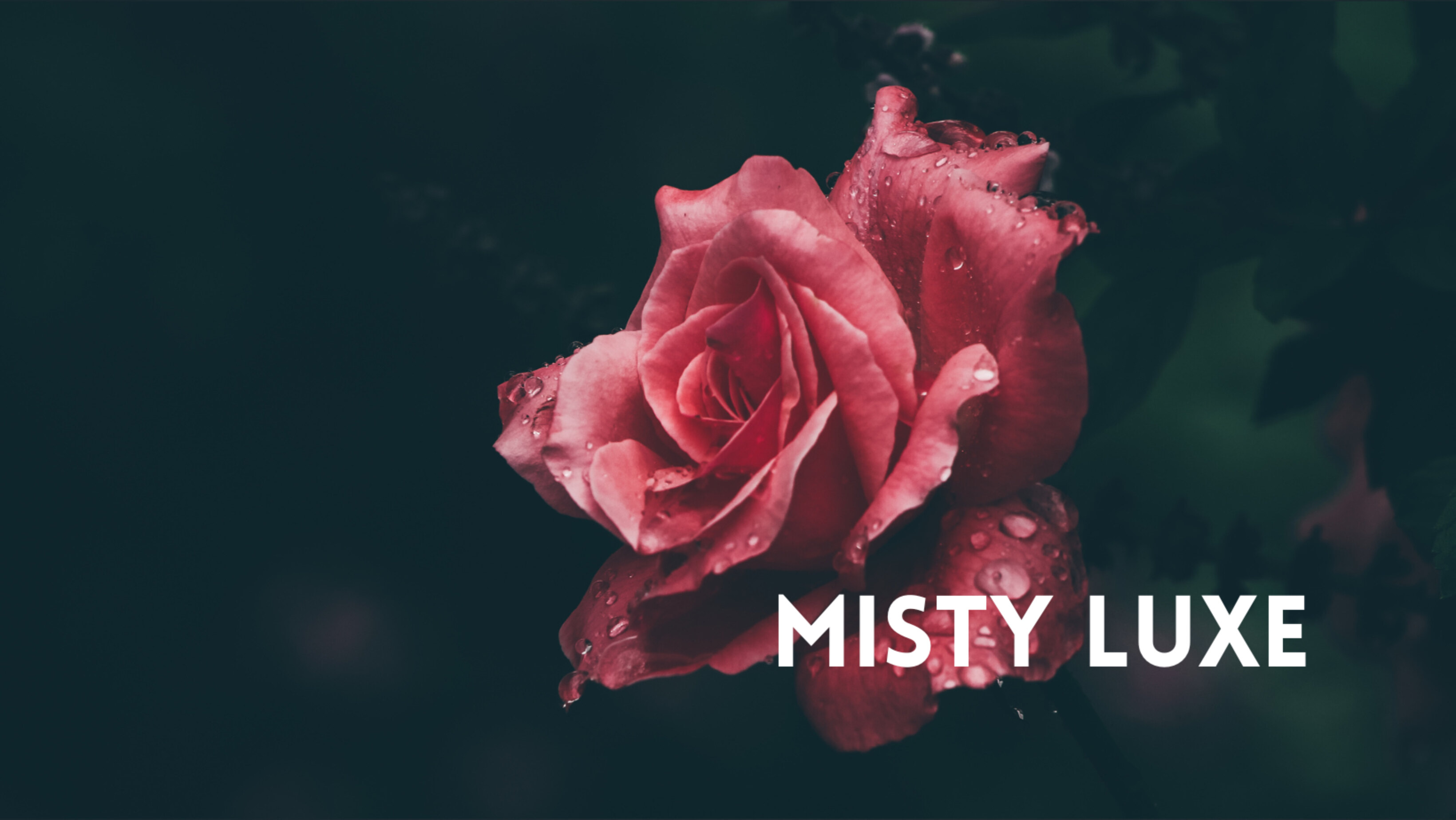 Misty Luxe banner image