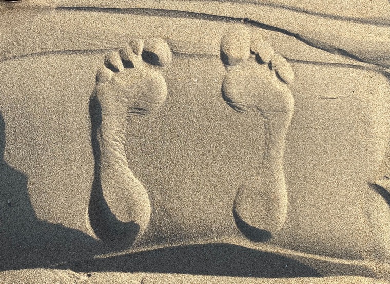 French Feetishist cover image