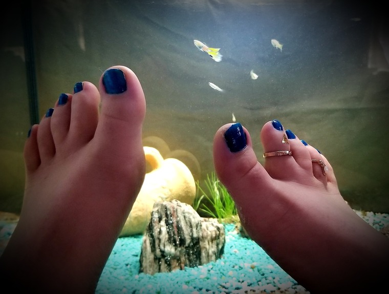 FrenchFeetLive cover image