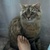 Frenchie_feet2 avatar