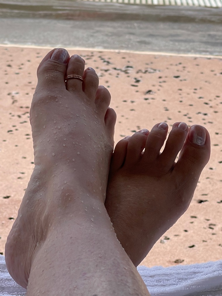Frenchie_feet2 banner image