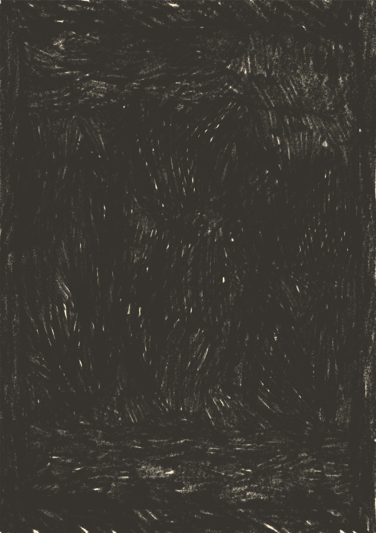 white cat banner image