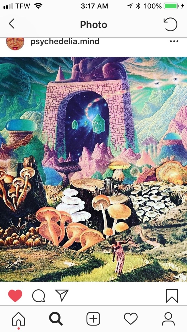 Freya Ivey cover image