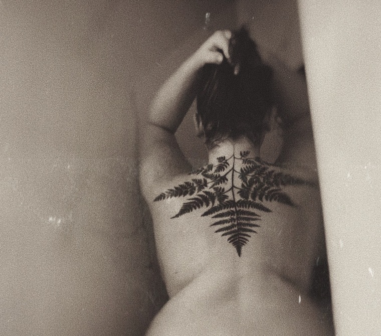 Penelope cover image
