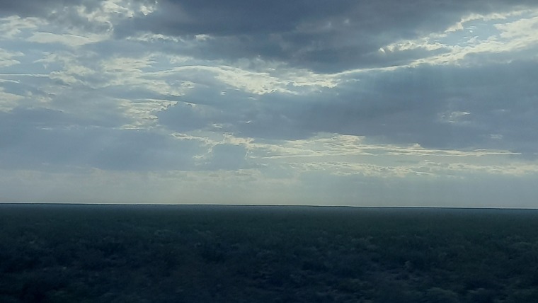 Frillzs banner image