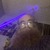 FriskyLou avatar