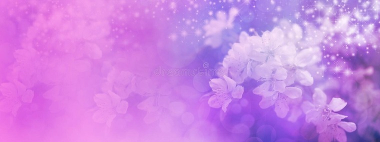 From Finland with love banner image