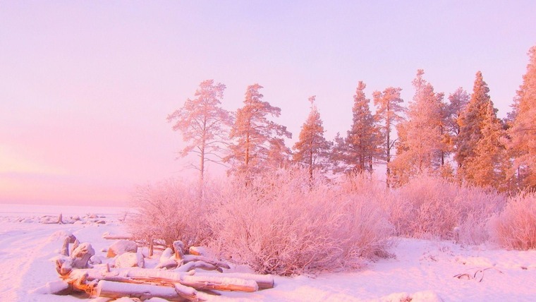Morgan Frost banner image