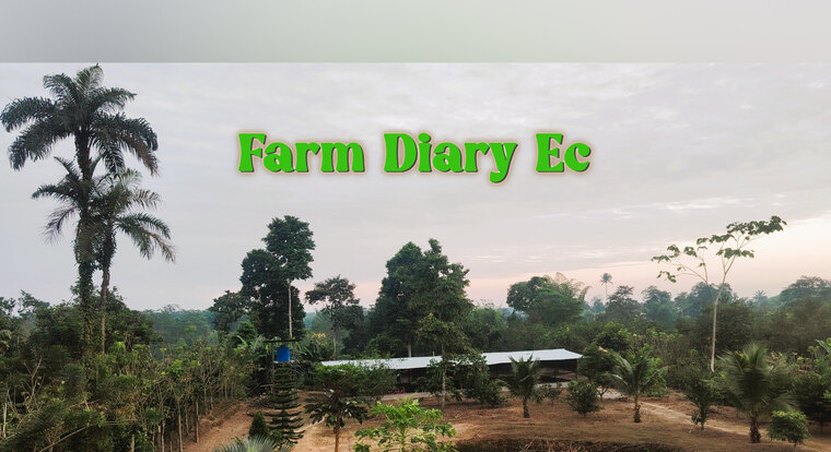 Farm Diary Ec cover image