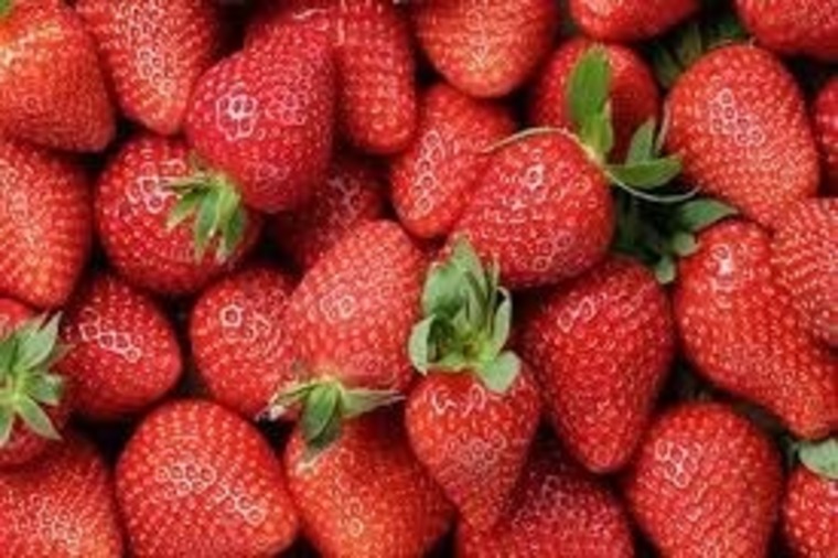 FruXualidad (Sexo con Frutas) banner image