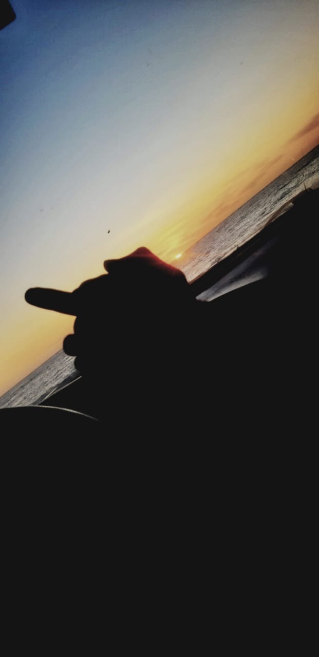 Frxnshesca banner image