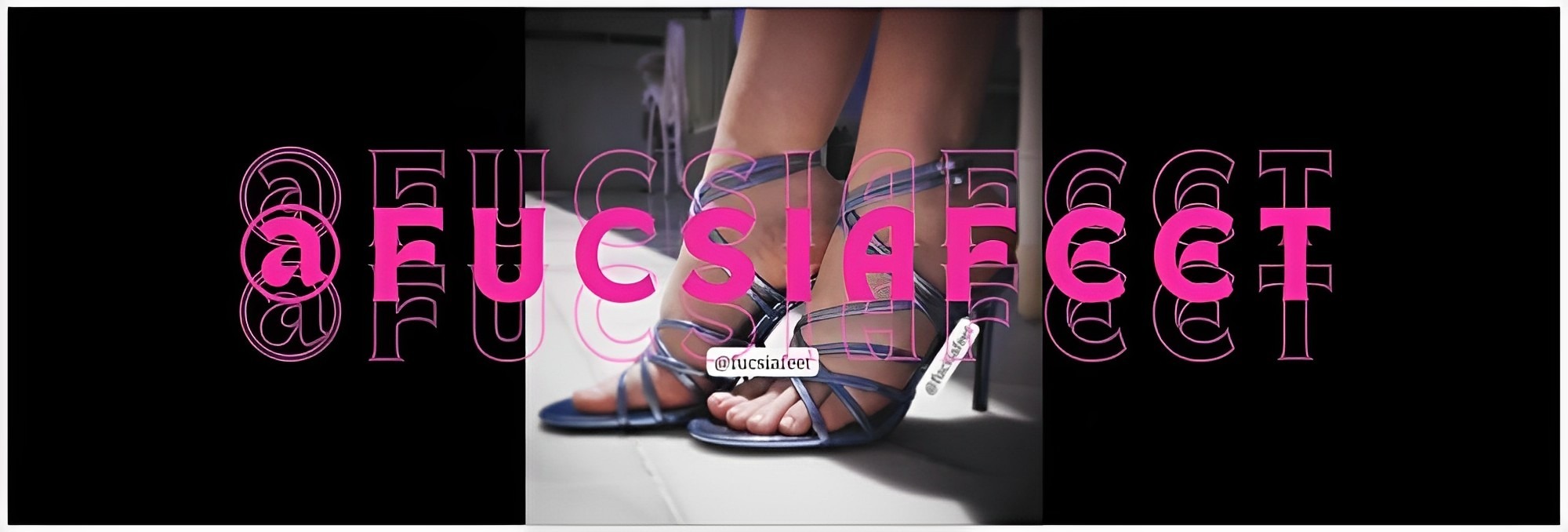 Fucsia banner image