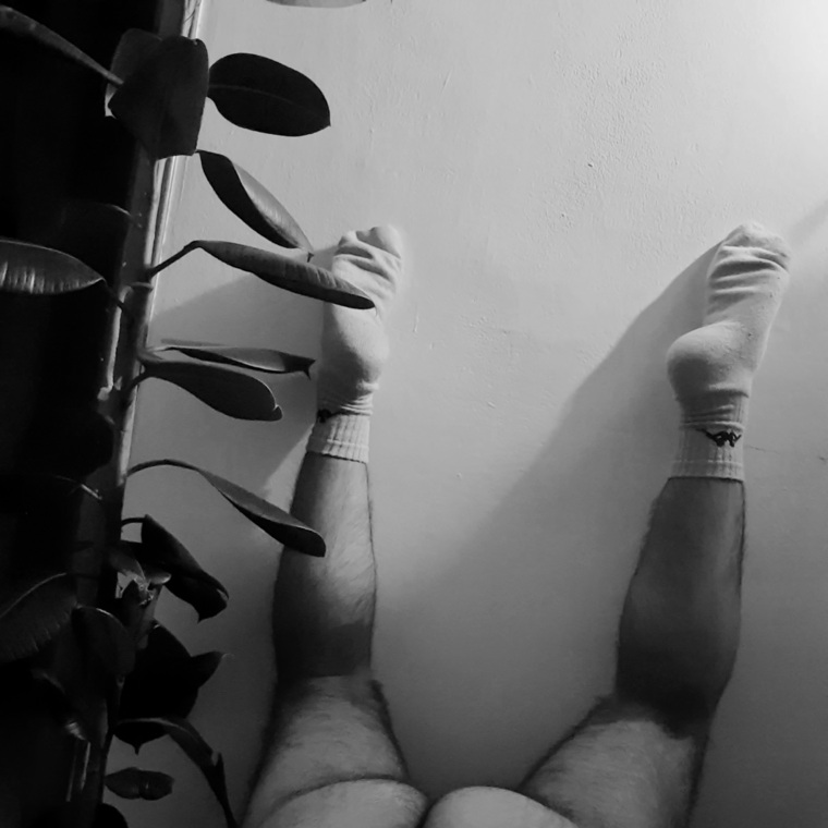 fukkteo banner image