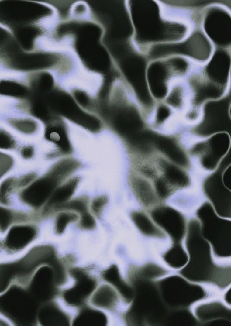 Salo cover image