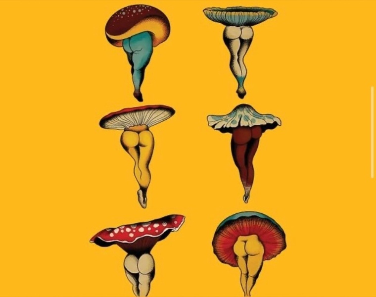 Katrina Noble cover image