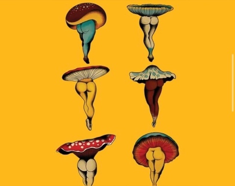 Katrina Noble cover image