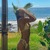 Life with Grace avatar