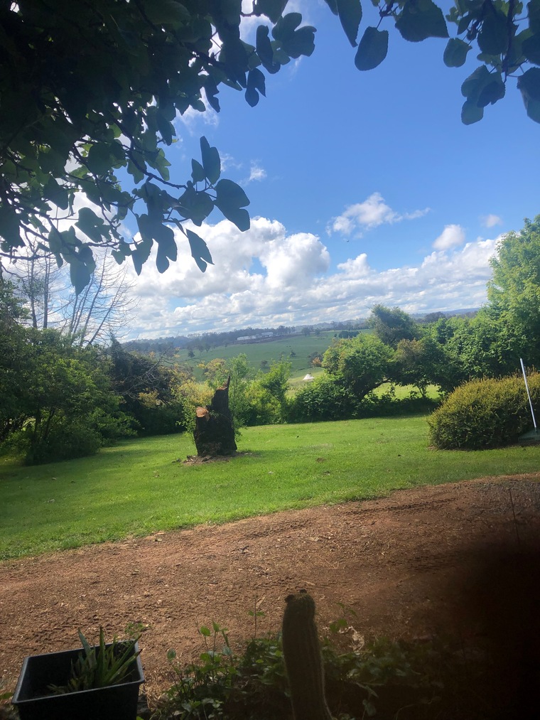 Fun In The Country cover image