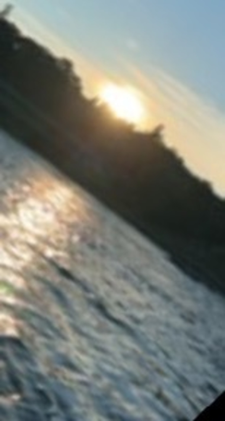 Sasha banner image