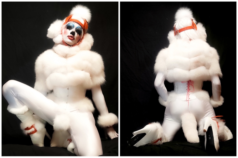 FurSissy banner image
