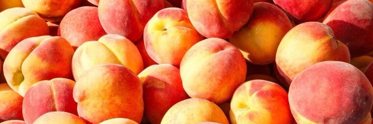 🍑Fuzylilpeach🍑 cover image