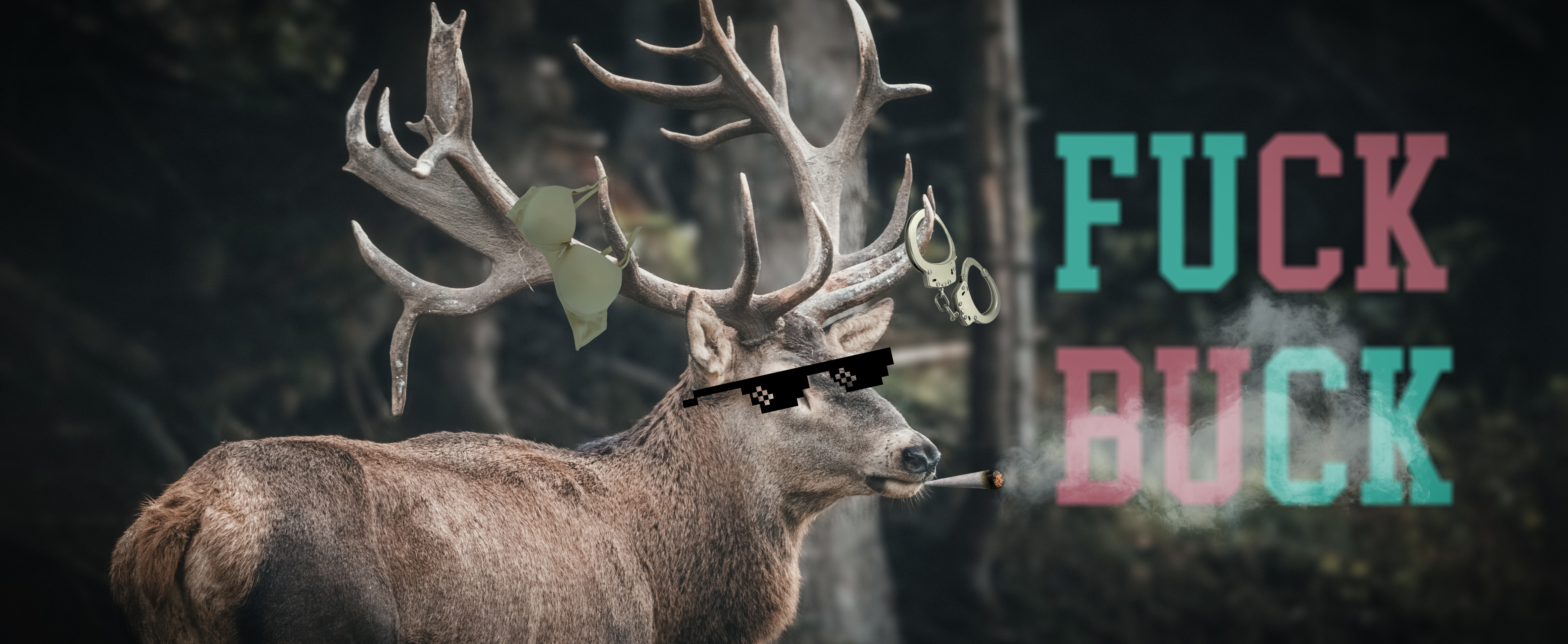 Fxxk Buck banner image