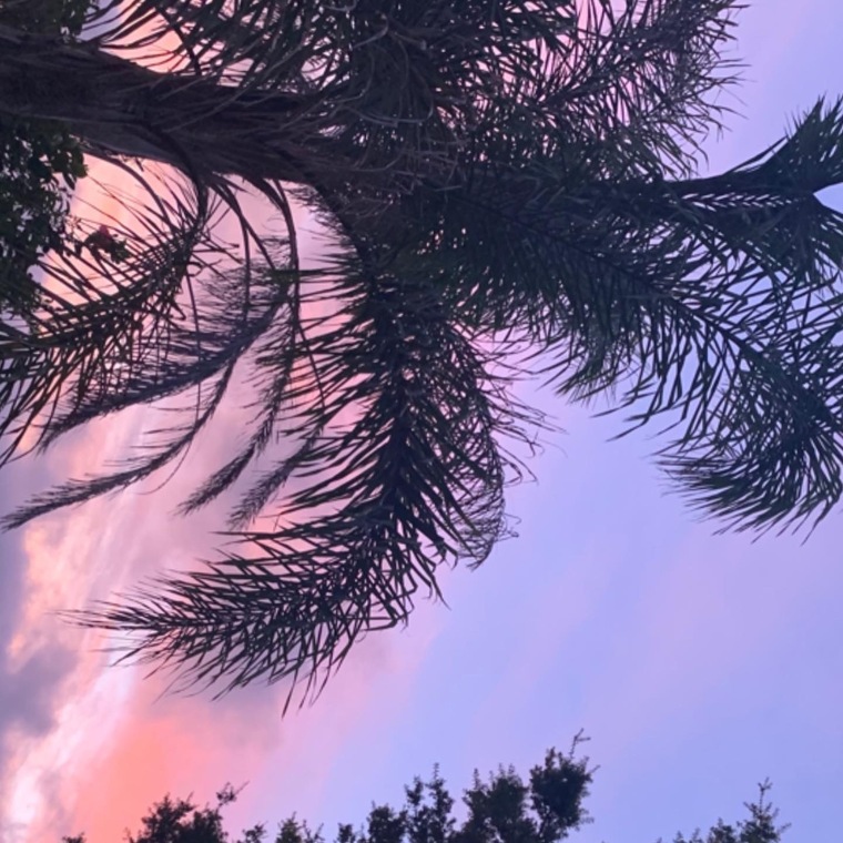 gabbie ✨ banner image