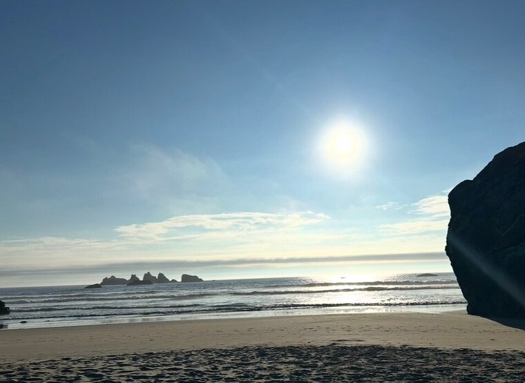 gabbi cover image