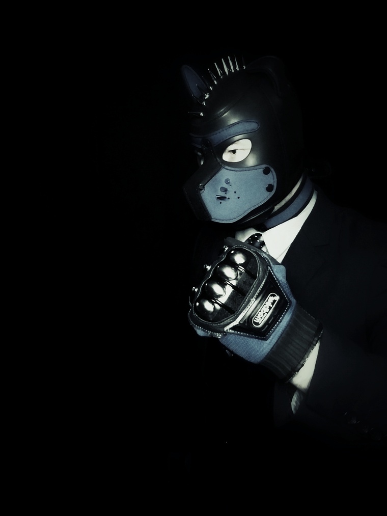 Gabe The Alpha Pup cover image