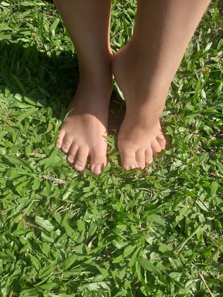 Gabriela Brasileira cover image