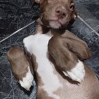 Gabriela avatar