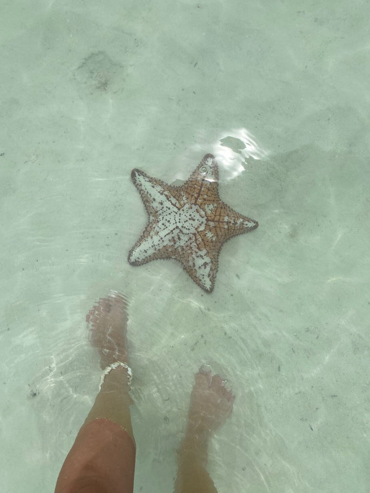 feet wonderland banner image