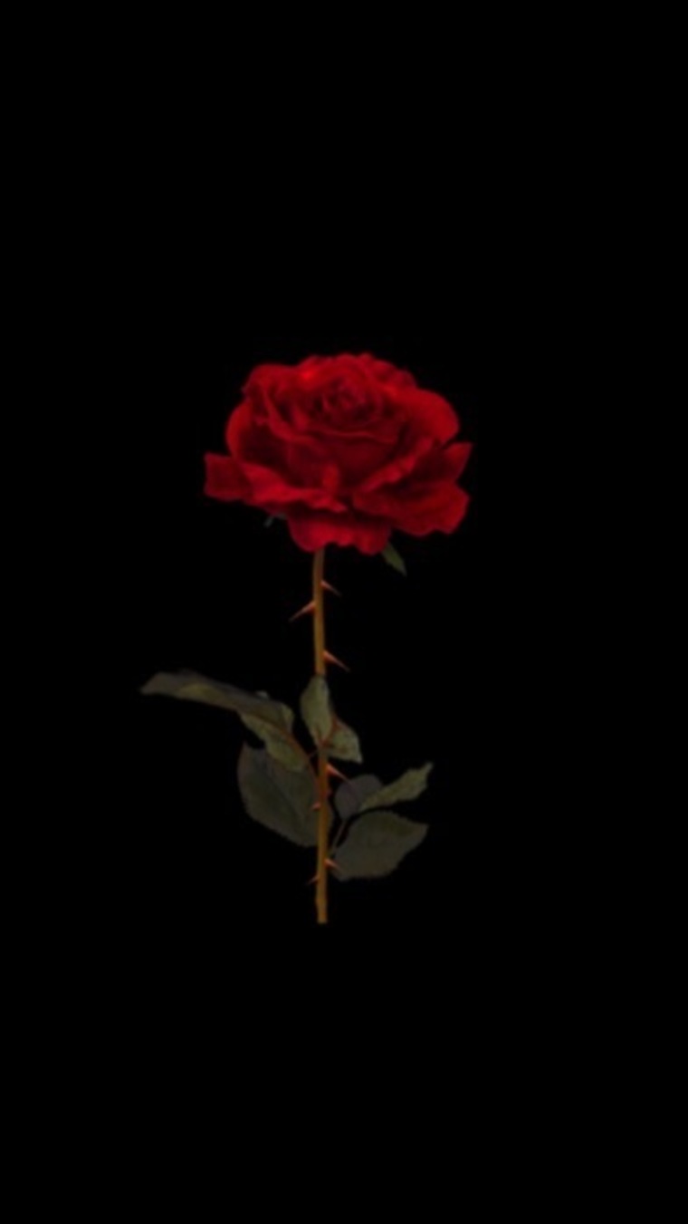 Gabrielle banner image
