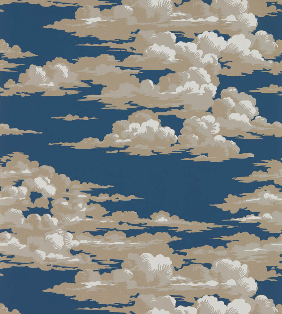 Steve banner image