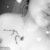 GanjaQueen 👑 avatar