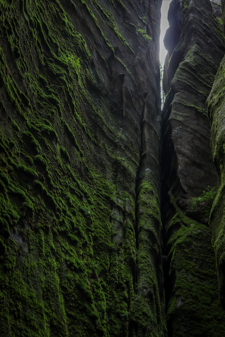 Pawlína banner image