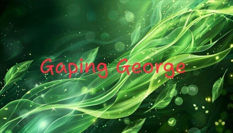 George banner image