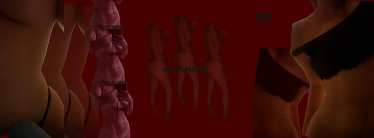Charlie banner image