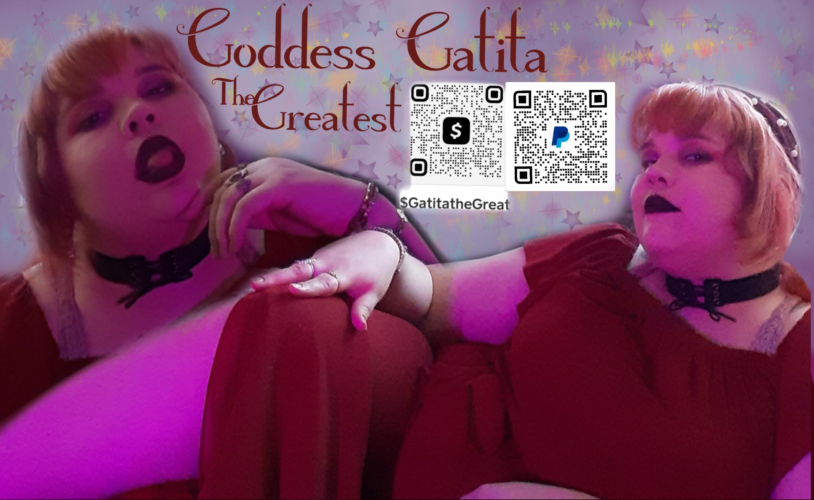 GatitaTheGreat banner image